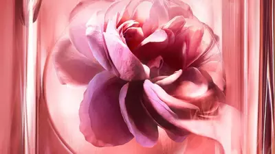 Акорд Rose damascena​
