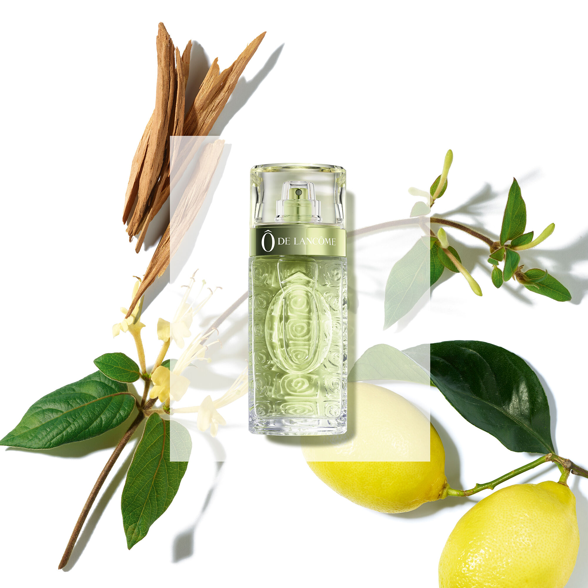 O de Lancome