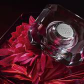 La Nuit Tresor Intense