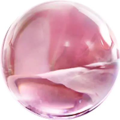 Екстракт от роза Centifolia