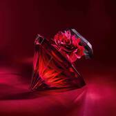 La Nuit Tresor Intense