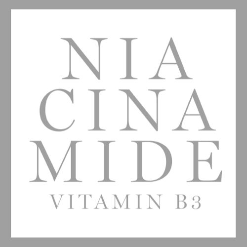 Logo featuring the word "NIACINAMIDE" prominently displayed in vertical text, with "VITAMIN B3" in smaller text underneath, all set against a plain white background with a gray border.