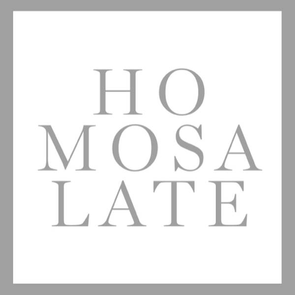 Logo design featuring the word "HOMOSALATE" in a bold, minimalist style with a light gray font against a white background, framed by a gray border.