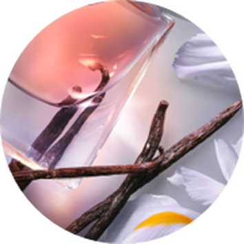 Парфюм в стъклена бутилка, заобиколен от венчелистчета и ванилови пръчки, създаваща елегантна атмосфера.