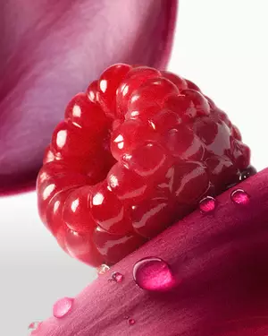 Илюстрация на плодов аромат Lancome