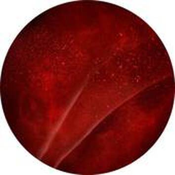 Кръг с наситено червено оцветяване, напомнящо на течна текстура или повърхност.