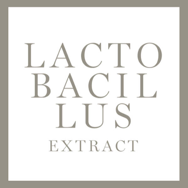 Minimalist graphic featuring the text "LACTOBACILLUS EXTRACT" in a clean, modern font on a white background with a light gray border.